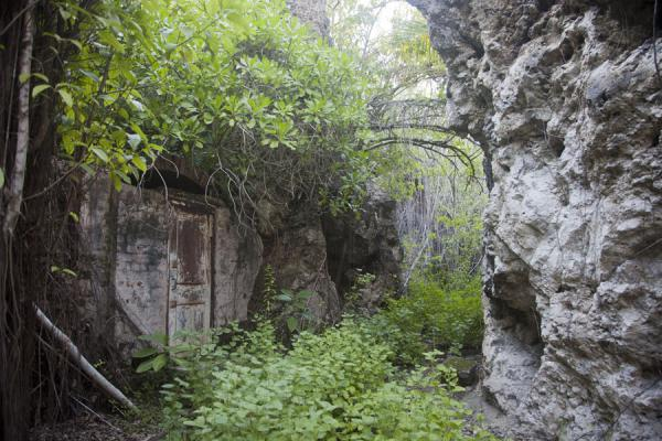 Possible Filming Locations